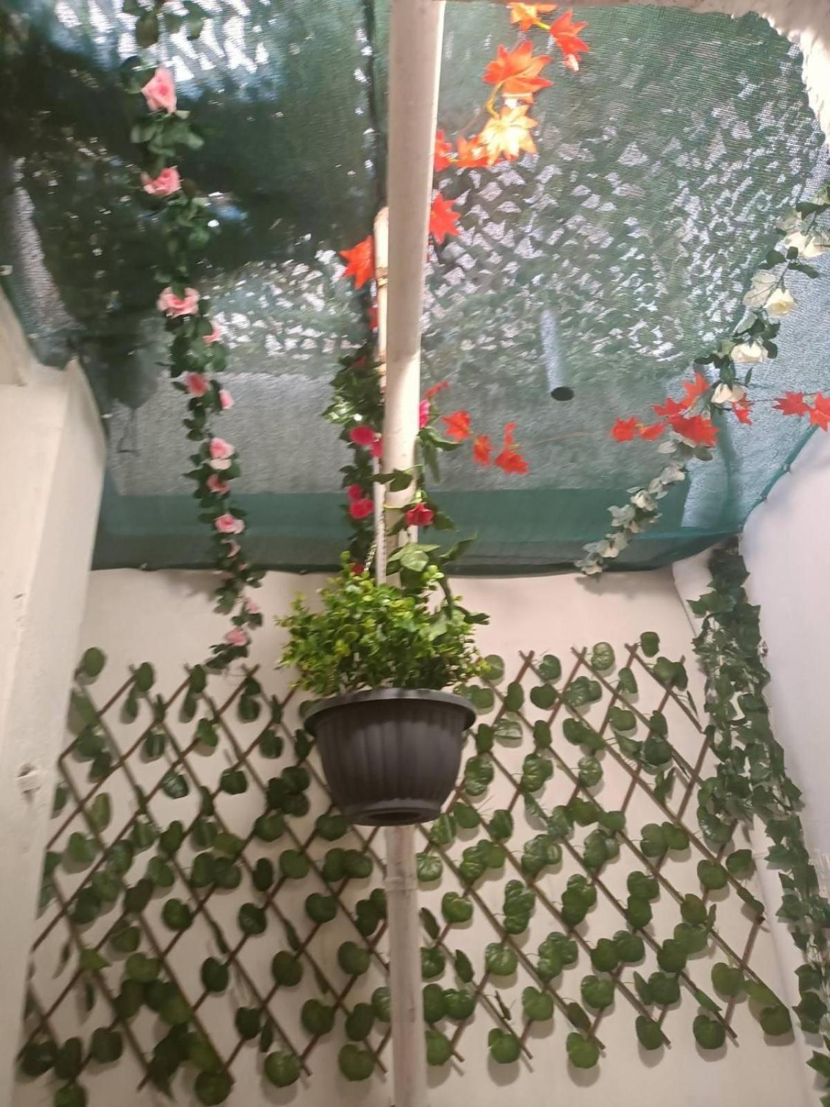 Veggera Apt Athens Center,Petralona Station Zewnętrze zdjęcie